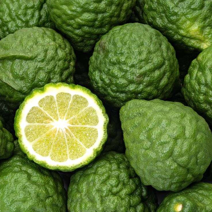 bergamot